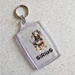 Porte clef Teckel Debout C7753