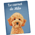 carnet de santé caniche abricot